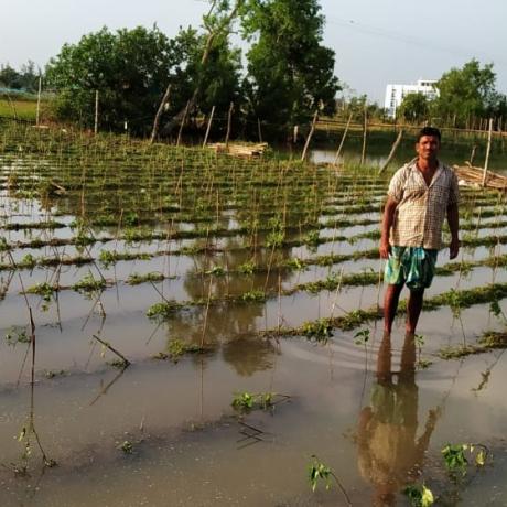A farmer stands in his flooded field assessing damage to his crops caused by Cyclone Bulbul